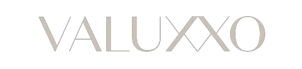 valuxxo_text_logo_silver